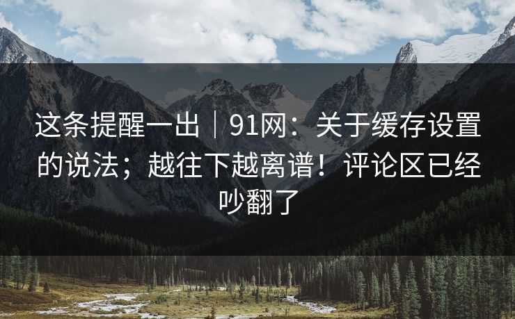 这条提醒一出｜91网：关于缓存设置的说法；越往下越离谱！评论区已经吵翻了